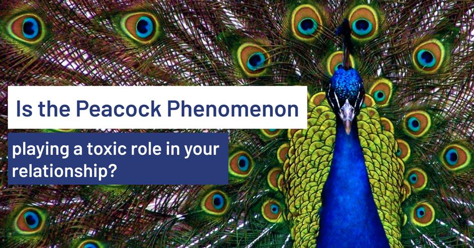 Is the Peacock Phenomenon playing a toxic role in your relationship?